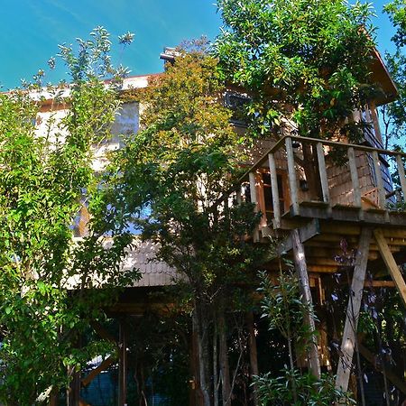 La Casa Del Arbol De Chiloe Villa Castro Szoba fotó
