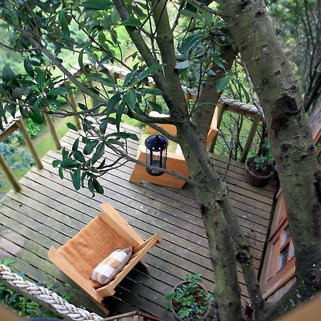 La Casa Del Arbol De Chiloe Villa Castro Kültér fotó