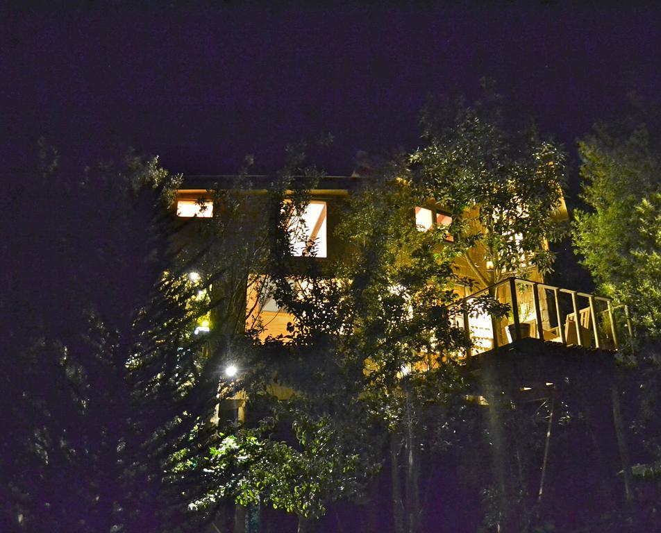 La Casa Del Arbol De Chiloe Villa Castro Kültér fotó