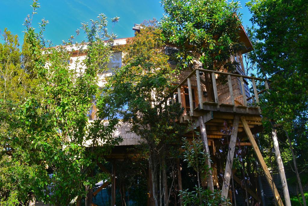 La Casa Del Arbol De Chiloe Villa Castro Szoba fotó