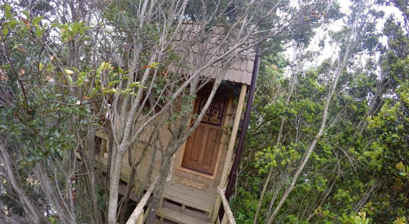 La Casa Del Arbol De Chiloe Villa Castro Szoba fotó