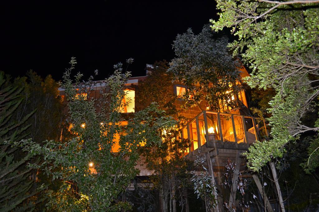 La Casa Del Arbol De Chiloe Villa Castro Kültér fotó