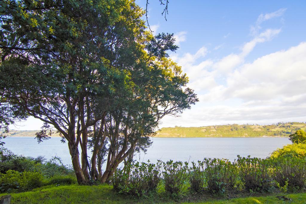 La Casa Del Arbol De Chiloe Villa Castro Kültér fotó
