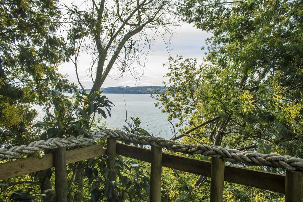 La Casa Del Arbol De Chiloe Villa Castro Kültér fotó
