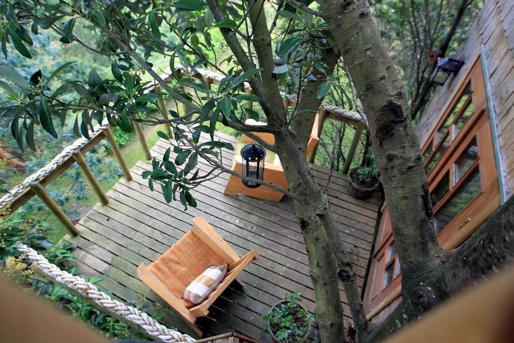 La Casa Del Arbol De Chiloe Villa Castro Kültér fotó